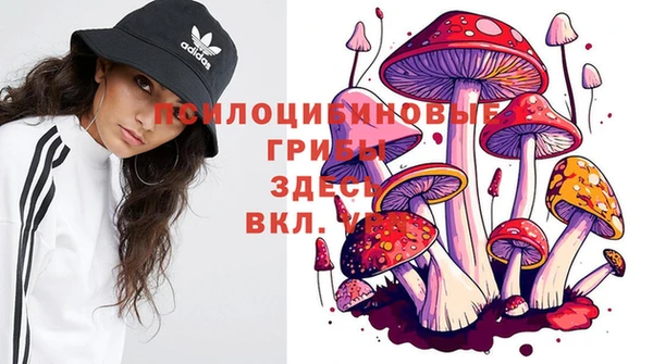 COCAINE Арсеньев