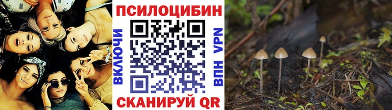 Псилоцибиновые грибы MAGIC MUSHROOMS  где продают   Вихоревка 